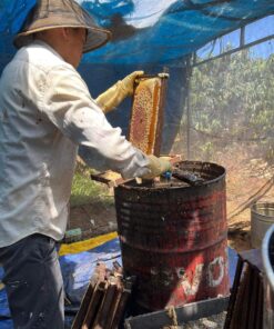 Alternative view of Mật ong cà phê vườn rừng (350ml/chai)