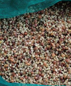 Alternative view of Top 3 VietNam specialty coffee (Arabica honey process)